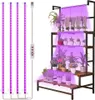 A plant stand with multiple shelves filled with plants, illuminated by purple LED grow lights. Produktbild-Vorschau