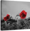 Leinwandbild rote mohnblumen und getreide 60x60 cm Feeby Produktbild-Vorschau 1