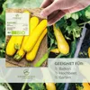 Zucchini Samen Gelb (Gold Rush, 5 Korn) - Zucchini Saatgut Produktbild-Vorschau 2