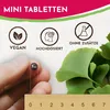 Tablety Ginkgo Biloba 6000 mg, 365 ks – najlepší pomer ceny Náhľad obrázku produktu 5