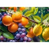 CHERRY PAZZI Puzzle Sonnige Frü chte 1000 Teile Produktbild-Vorschau 1