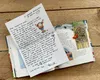 Abenteuerliche Briefe von Felix Produktbild-Vorschau 6