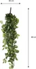 Mica Decorations Fittonia hängende Kunstpflanze - H80 cm - Produktbild-Vorschau 4