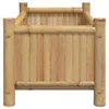 Design Pflanzkübel 50x30x25 cm Bambus, Gabionen 2024 Neu Produktbild-Vorschau 5