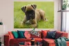 MuchoWow® Poster Boxerwelpe liegt im grünen Gras 180x120 cm Produktbild-Vorschau 2