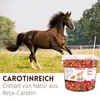 Supravit Karottenchips 2 kg | Pferdeleckerlis ohne Zucker & Produktbild-Vorschau 3