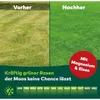 DCM Rasendünger Spezial, kräftig grüner Rasen, 18 Kg Produktbild-Vorschau 6
