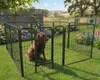 Welpenfreigehege YOUNG DOGS Größe L Welpenauslauf Produktbild-Vorschau 3