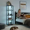 HOMCOM RGB Stehlampe mit Glasregalen, Produktbild-Vorschau 2