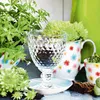 A collection of potted plants and a glass of water on a table. Náhled obrázku produktu