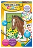 Fohlen Ravensburger 28463 Produktbild-Vorschau 6