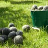DIY-Pferdeäppel-Set, für kleine Pferdefans Produktbild-Vorschau 8
