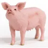 Schleich Farm World 13933 -  Schwein, Tierfigur Produktbild-Vorschau 7