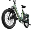 FAFREES F20 Flex E-Bike Klapprad - Motor 250W Akku 36V25Ah Produktbild-Vorschau 10