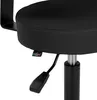 Taburete de peluquería Comfort Plus con respaldo – color Vista previa de la imagen del producto 6