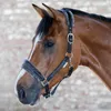 Waldhausen Fur Halter ELEGANT nero morbido imbottito, Anteprima dell’immagine prodotto 3