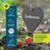 Břidlicové cedule Hoberg "tvar srdce" - sada 10 kusů Náhled obrázku produktu 2