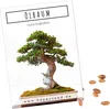 Exotische Bonsai Samen mit hoher Keimrate - Pflanzen Samen Produktbild-Vorschau 8