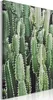 Italienischer Leinwand Leinwandbild - Cactus Garden (1 Produktbild-Vorschau 1