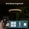 doporro Moderne LED Pendelleuchte – 60cm Dimmbare Produktbild-Vorschau 3