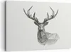 Bild auf Leinwand - Leinwandbild - Einteilig - Hirsch Produktbild-Vorschau 1