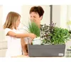 Greenbar® Kräuterkasten, für 3 Kräutertöpfe, mit Produktbild-Vorschau 10