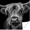 MuchoWow® Poster Schottischer Highlander - Hörner - Schwarz Produktbild-Vorschau 1