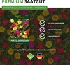 Portulakröschen Gefüllte Mischung Samen - Portulaca Produktbild-Vorschau 8