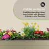 A raised garden bed filled with various colorful spring flowers, with text overlay describing its use for growing plants. Produktbild-Vorschau