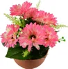 Gerberas rose 7 fleurs dans un bol en terre cuite Ø22/ 24 Voir les images du produit 2