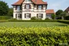 20x Ligustrum ovalifolium Aureum - Goldliguster Produktbild-Vorschau 3