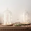 Éclairage LED à piles, lampes à diodes pour sapin de Noël, Voir les images du produit 6