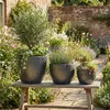 Pot de fleurs en céramique Eggpot anthracite Ø48cm Voir les images du produit 7