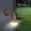 An outdoor wall lamp mounted on a dark gray wall, with a green lawn and garden in the background. Anteprima dell’immagine prodotto