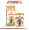 Royal Canin British Shorthair Adult, Dorosły, Brytyjski Podgląd zdjęcia produktu 8