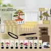 Bonsai starter kit bonsai set - 10 zaden - Complete Productafbeelding-voorbeeld 8