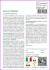 SAFLAX  - Zucca di Hokkaido - 10 semi - Con substrato - Anteprima dell’immagine prodotto 3