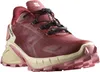 SALOMON SHOES SUPERCROSS 4 GTX W Cohid 000 Cow Produktbild-Vorschau 1
