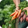 Nawóz ogrodniczy granulat uniwersalny Azofoska 5kg Podgląd zdjęcia produktu 12