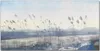 Coloray Bild aus Acryl 100 cm x 50 cm - Acrylblock mit Bild Produktbild-Vorschau 1