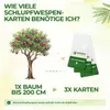 Green Guardia Schlupfwespen gegen Pflaumenwickler -3x Produktbild-Vorschau 3