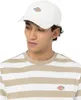 DICKIES - Uni Hardwick Bavlna cap  - Size One size Náhled obrázku produktu 7