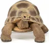 Papo Wild Life Schildkröte 50264 Produktbild-Vorschau 5