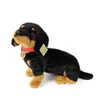 Bassotto Peluche Con Collare 36 Cm Ecologico Anteprima dell’immagine prodotto 9