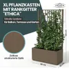 XL Spalier 'Ethica' mit Pflanzkübel Breit 80x36x140 cm - Produktbild-Vorschau 2