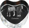 Clydesdale - fotografia koňa v kryštáli, kryštálové srdce, Náhľad obrázku produktu 1