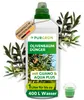 Purgrün Olivenbaum-Dünger 1 Liter Produktbild-Vorschau 1
