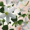 Maison Berger Paris 115286, Flasche, Flüssigkeit, Jasmin, Produktbild-Vorschau 1