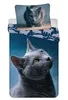 Juego de ropa de cama Dark Cat de algodón: funda de edredón Vista previa de la imagen del producto 1