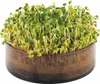 Rapunzel - bioSnacky Keimli - 1Stück Produktbild-Vorschau 2